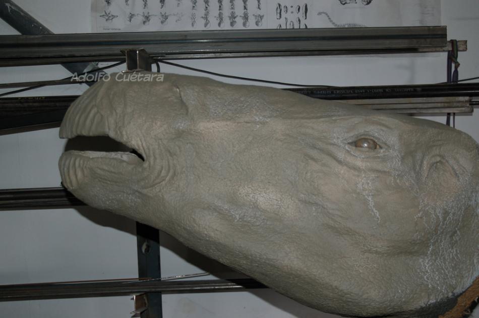 1 A Head Sculpting 