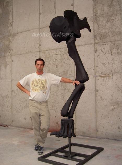 Camarasaurus leg