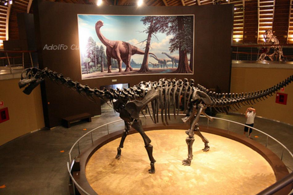 Camarausrus