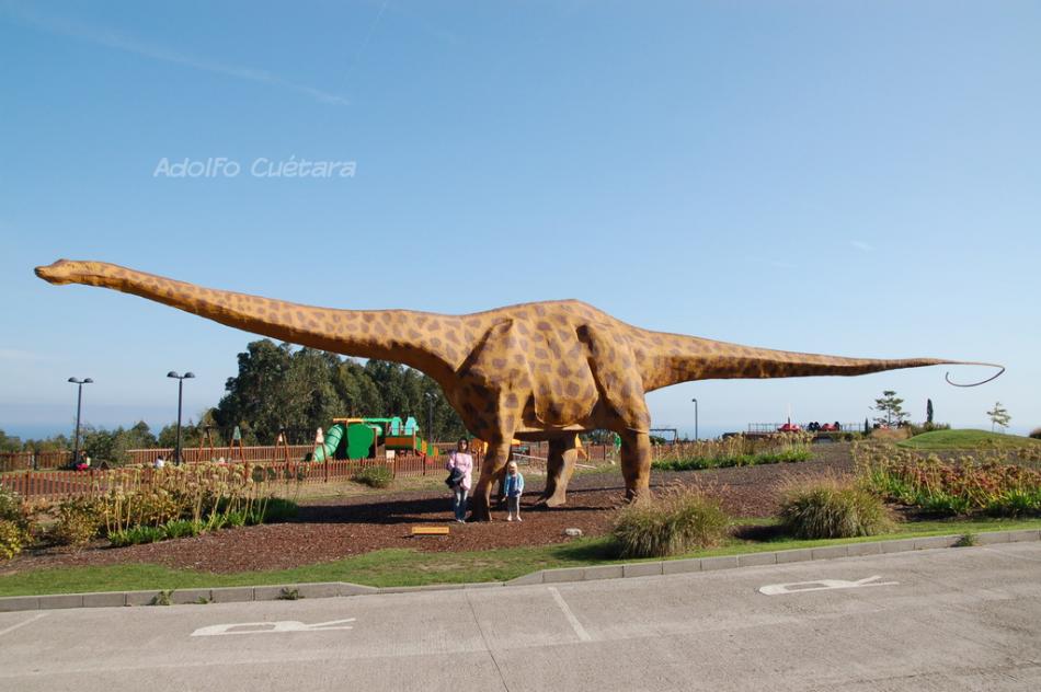 Diplodocus 3 