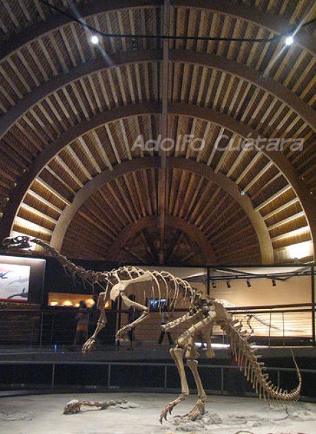 Plateosaurus2 