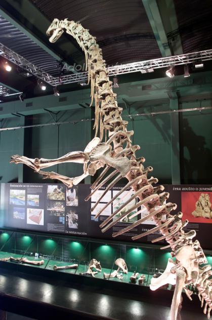 Tastavinsaurus 