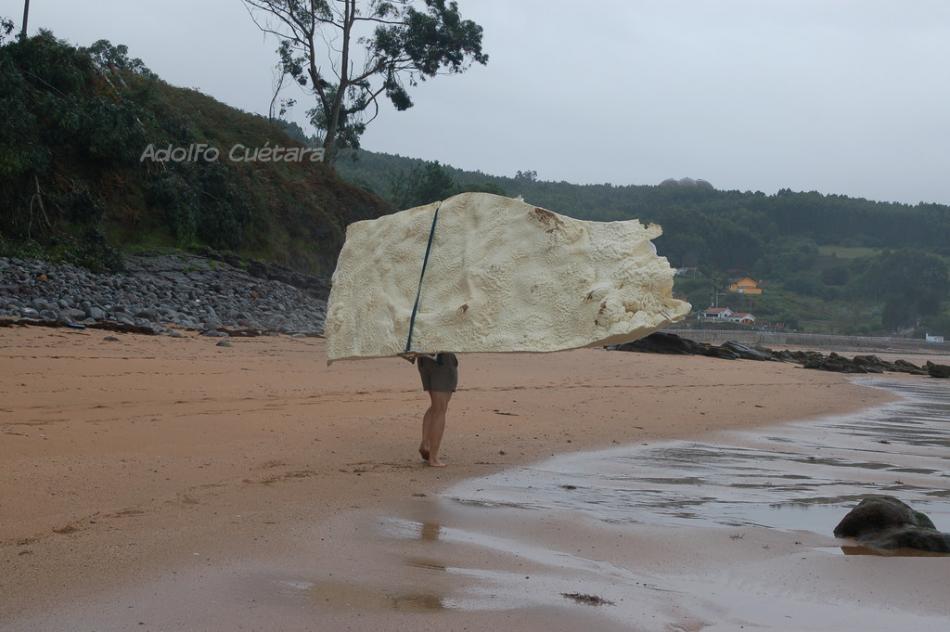 Throug the low tide