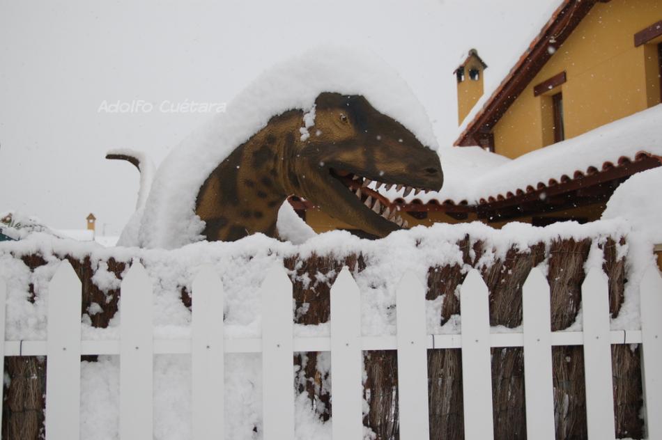 Artic Allosaurus 