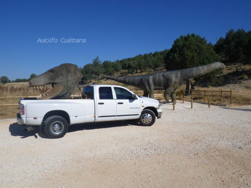 Mesozoic meeting