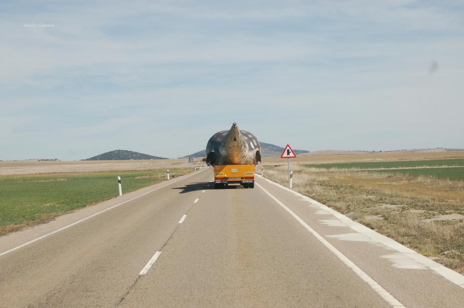 Seven Hundred Kilometers 