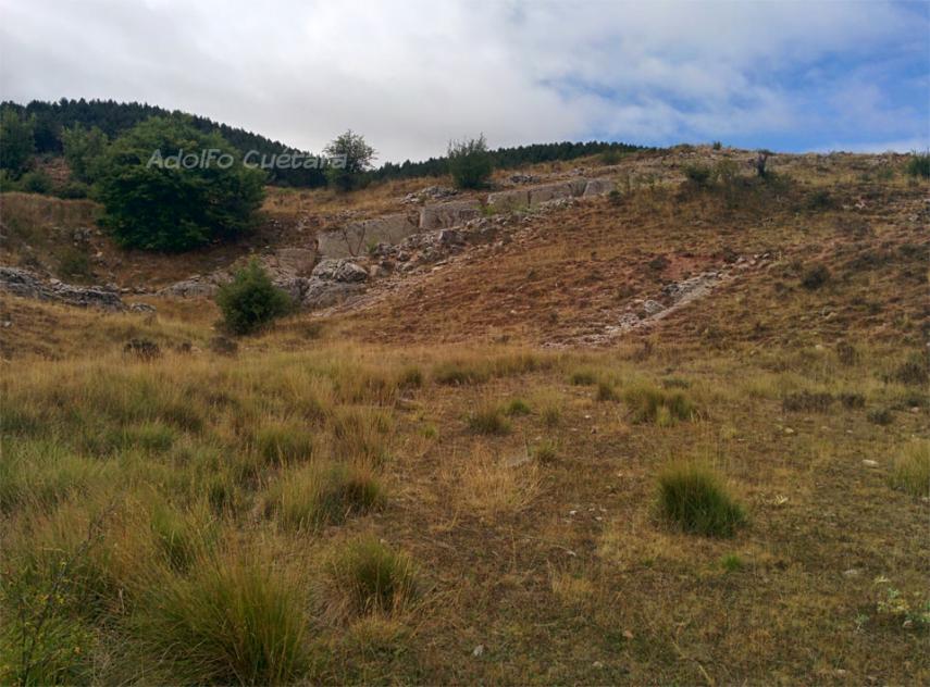 Tracksite1 