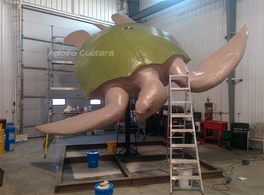 Turtle-5 