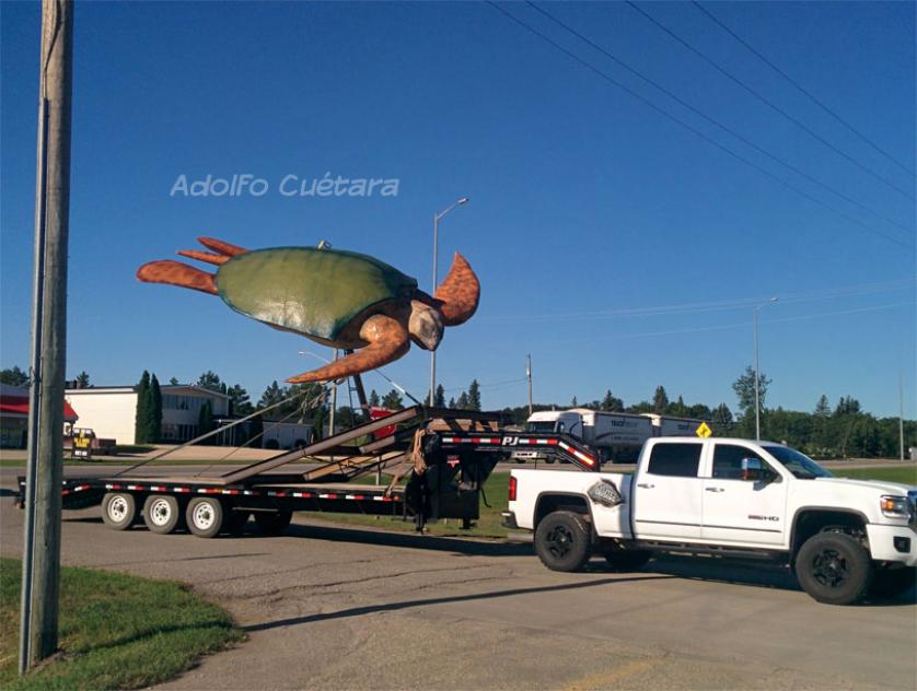 Turtle-9 